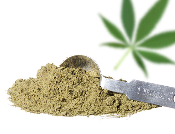 organic hemp powder