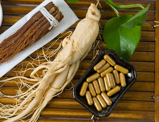 panax ginseng extract powder